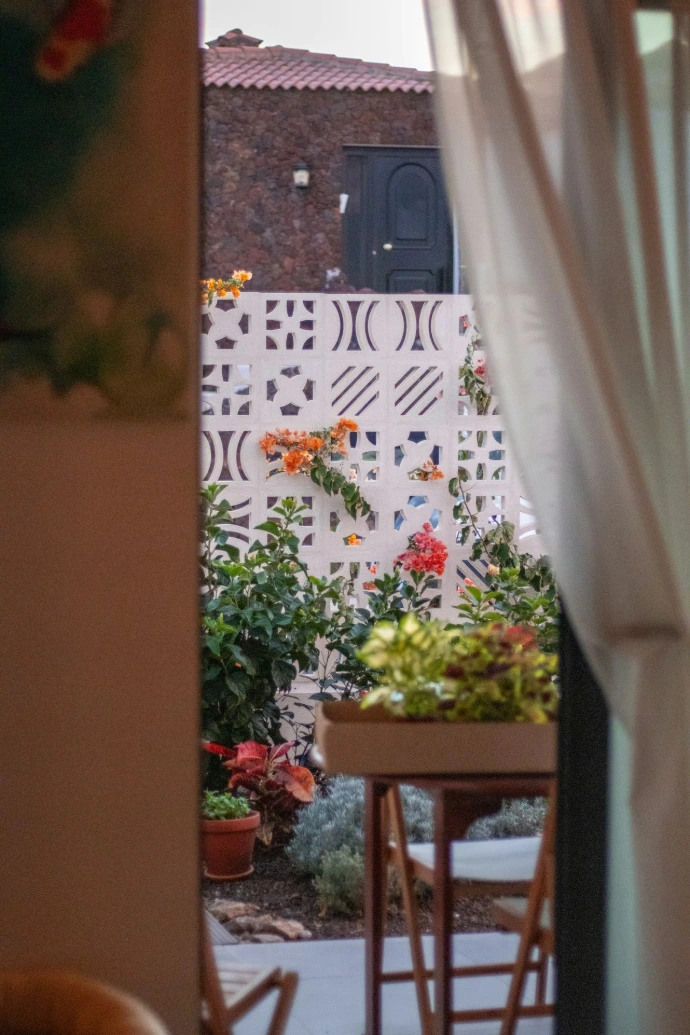 Tropical plants bloom near a decorative white wall.